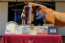 Click to enlarge Database's ribbons