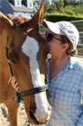 Click to enlarge My horse's adorable face