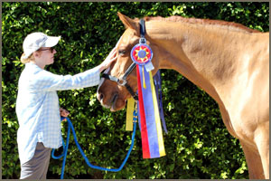 Click for photo gallery Dressage Horse Database